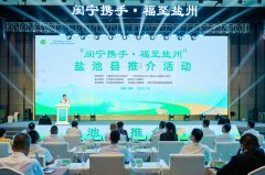 签约551亿元 
